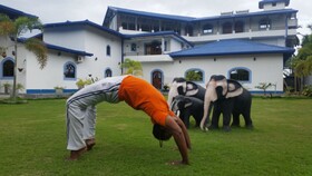 Dhammika Magic Palace