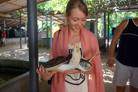 Dhammika Magic Palace