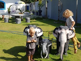 Dhammika Magic Palace