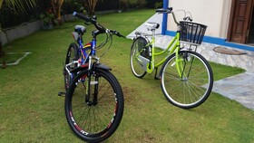 Dhammika Magic Palace