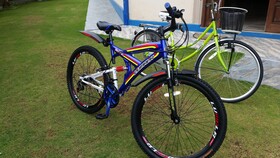 Dhammika Magic Palace