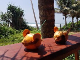 Dhammika Magic Palace