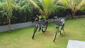 Dhammika Magic Palace