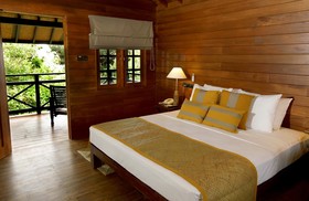 Cinnamon Wild Yala