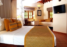 Cinnamon Wild Yala