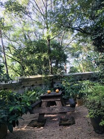 Ceylon Kingsmen Garden