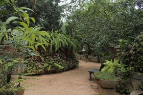 Ceylon Kingsmen Garden