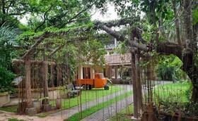 Ceylon Kingsmen Garden