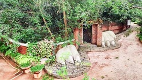 Ceylon Kingsmen Garden