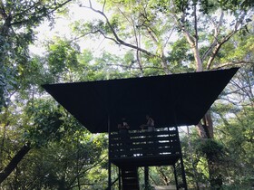 Ceylon Kingsmen Garden