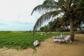 Deep Sea Resort by OYO Rooms