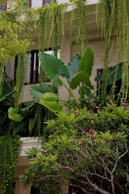 Spicepeek Boutique Hotel Cmb Airport