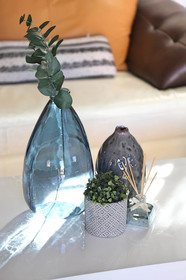 Denver Echo Executive Guest House