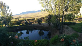 Lapeng Ha Mamosa