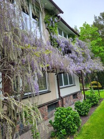 Vila Florena Garden