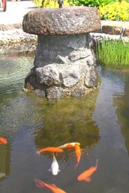 Vila Florena Garden