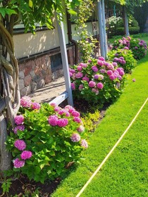 Vila Florena Garden