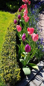 Vila Florena Garden