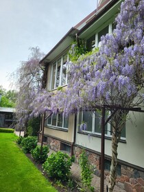 Vila Florena Garden