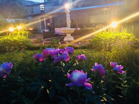 Vila Florena Garden