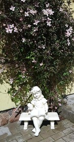 Vila Florena Garden