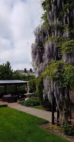 Vila Florena Garden
