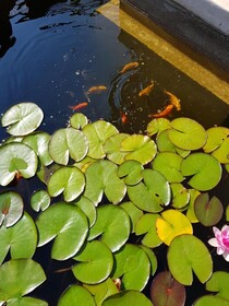 Vila Florena Garden