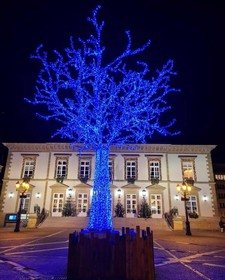 Vauban