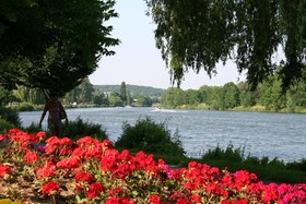 Domaine La Foret