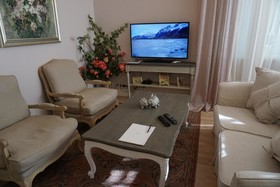 Wooden Villa