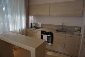 Wooden Villa