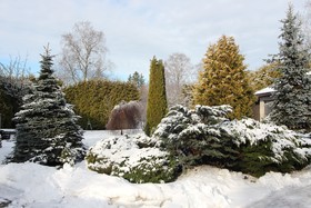 Champêtre Park View Apartments