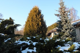 Champêtre Park View Apartments