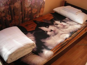 Elizabeth's Youth Hostel