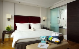 Radisson Blu Elizabete Hotel
