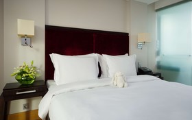 Radisson Blu Elizabete Hotel