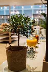 Radisson Blu Latvija Conference & Spa Hotel