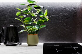 RIGAAPARTMENT ELIZABETES 22 Self-Service Aparthotel