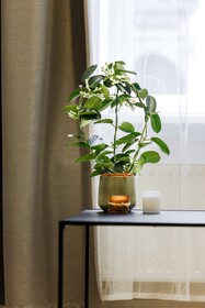 RIGAAPARTMENT ELIZABETES 22 Self-Service Aparthotel