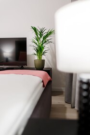 RIGAAPARTMENT ELIZABETES 22 Self-Service Aparthotel