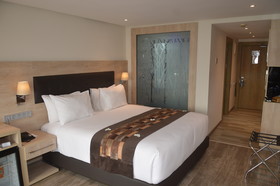 Anezi Tower Hotel & Apartments