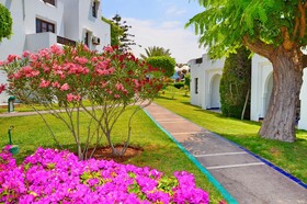 Caribbean Village Agador