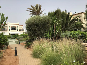 Residence Naama-Chez France-oceane