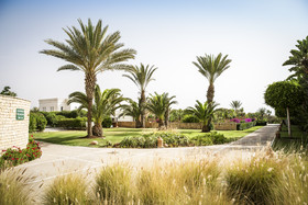 ROBINSON Agadir