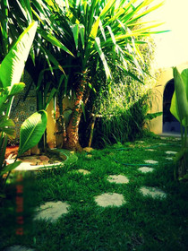 Villa Founty Sonaba