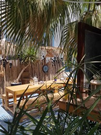 Free Surf Camp