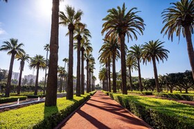 Radisson Hotel Casablanca Gauthier La Citadelle