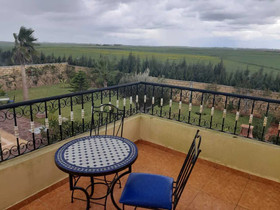 Riad Tanjil