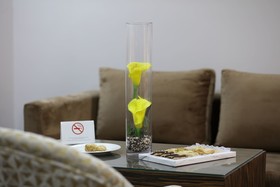 Silver Suites Hotel& Spa