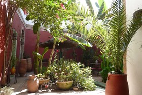 Dar Dayana